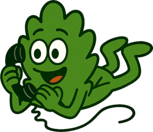 ring ring ring, kale phone